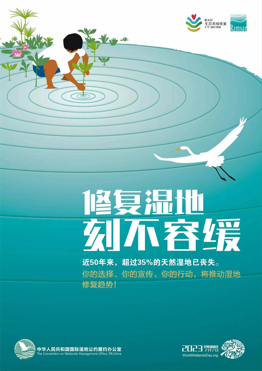 世界湿地日.jpg