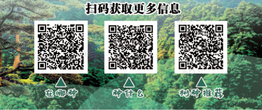 “有喜事来种树,建设绿美遂溪”倡议书1.png