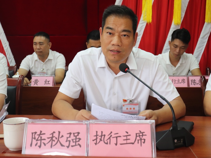 镇党委书记陈秋强讲话2.JPG