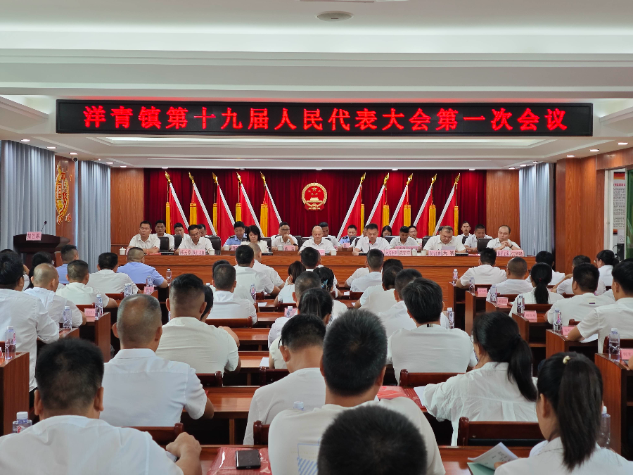 洋青镇第十九届人民代表大会第一次会议胜利召开