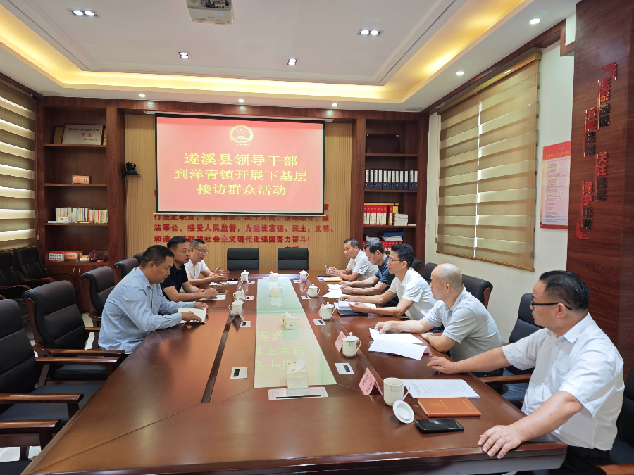 沈东宇到洋青镇开展接待群众活动暨“百千万工程”调研
