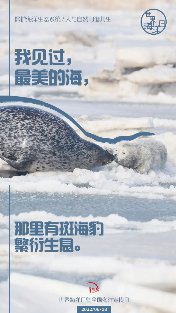 微信图片_20220612112252.jpg