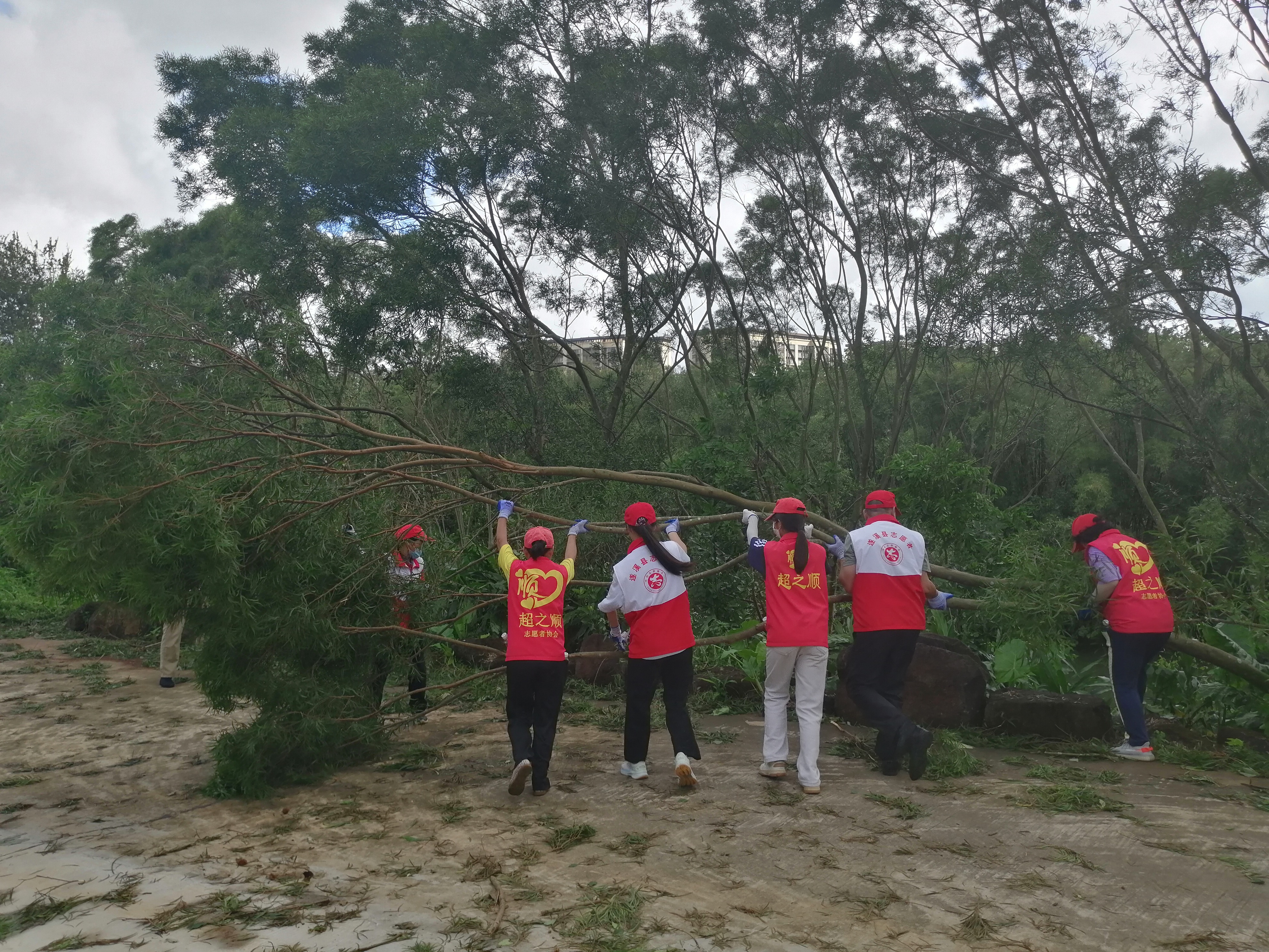 志愿者协助清理孔子文化城落木残枝.jpg