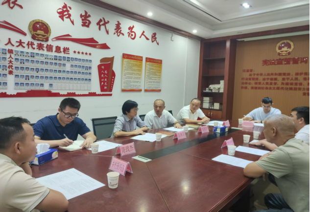陈林英到界炮镇人大代表中心联络站接待群众